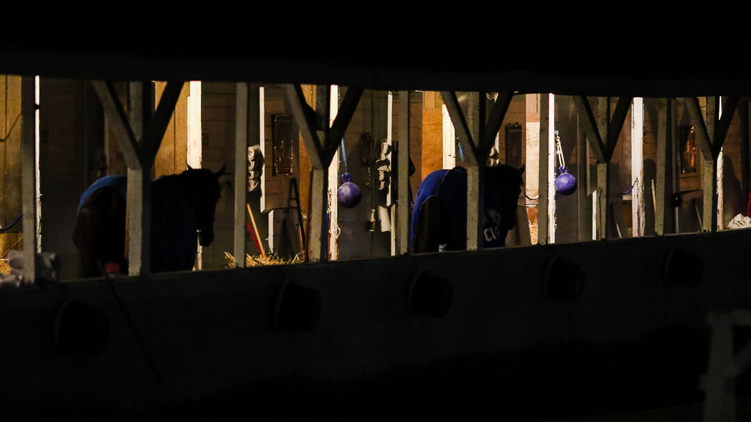 Churchill Downs training-3.jpg